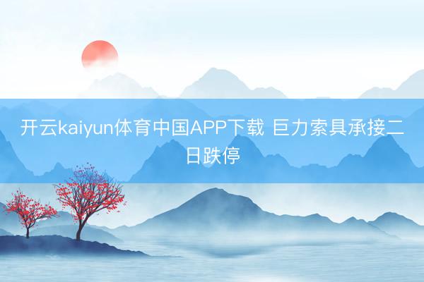 开云kaiyun体育中国APP下载 巨力索具承接二日跌停