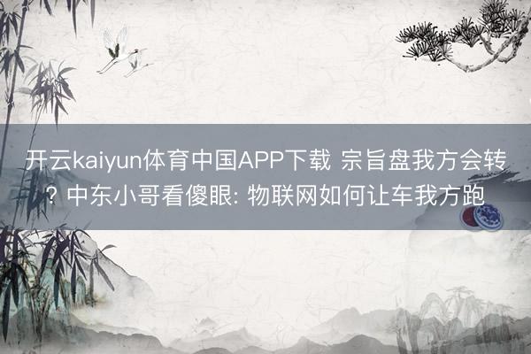 开云kaiyun体育中国APP下载 宗旨盘我方会转? 中东小哥看傻眼: 物联网如何让车我方跑