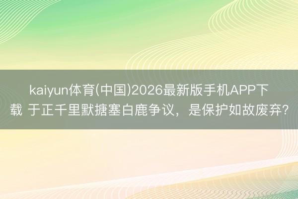 kaiyun体育(中国)2026最新版手机APP下载 于正千里默搪塞白鹿争议，是保护如故废弃？